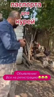 Вирусные видео россиян в очередях на «паспортизацию» своих кур и петухов увидели в Госдуме и правительстве. Процесс учета поручено «усовершенствовать»!Вице-премьер Дмитрий Патрушев поручил переоценить нормы учета животных в личных подсобных хозяйствах посл