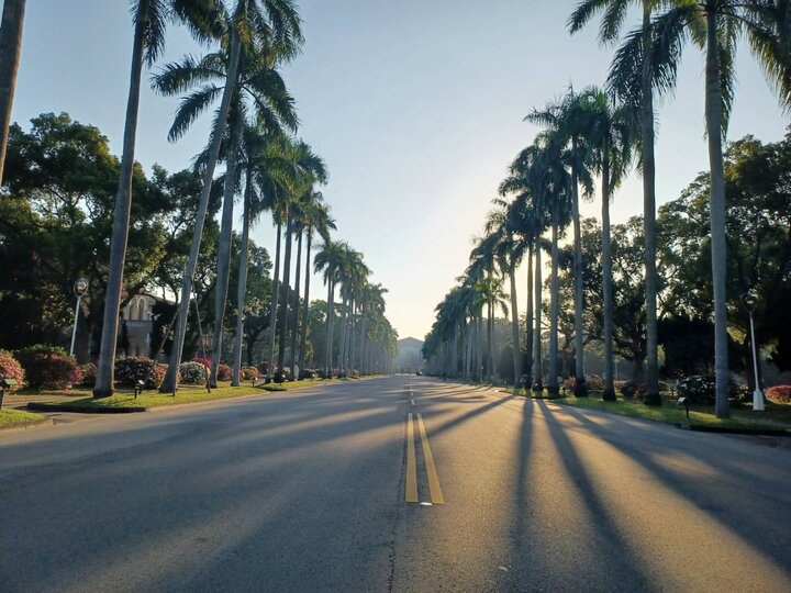 台大校園的四季感動