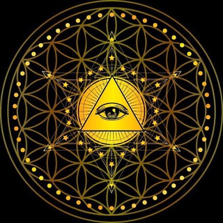 Elite Coins Crypto Chat Telegram Group Link