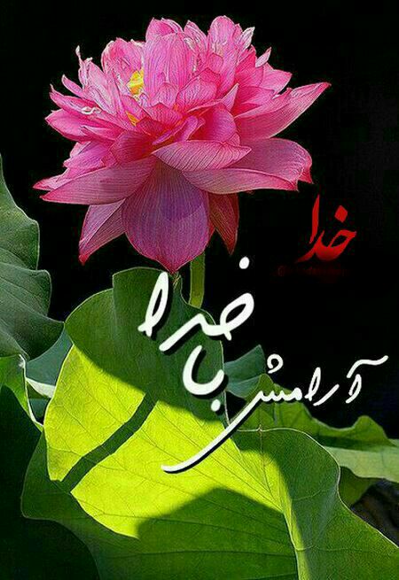 🌷دُعاهایِ سَریعُ الاِجابِهُ گِره گُشاءِ🌷: #حاجات_غیر_ممکنجهت براورده شدن حاجت که از هیچ طریقی براورده نشده حتی با نذر .. 5110 ذکر یا خالق را بخونید پشت سر هم بدون