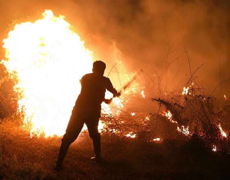 כיבוי שריפה בשטח של 20 דונם בגן הלאומי בוג'ג, גילן