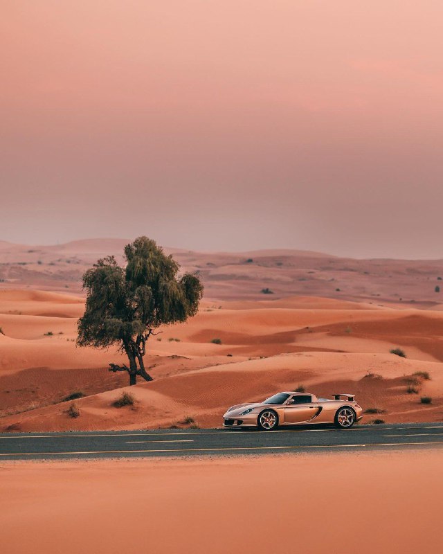 Porsche Carrera GT 9