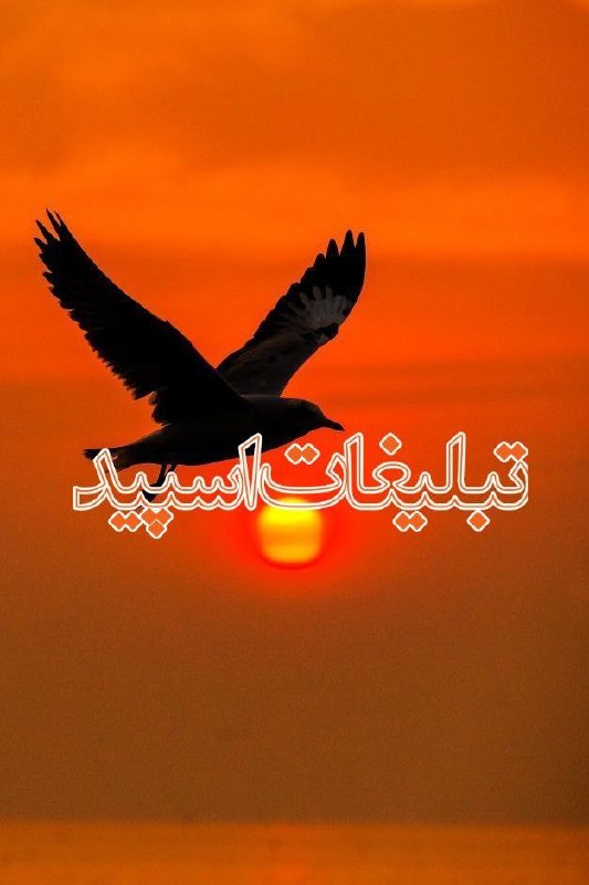 کانال لینکدونی تلگرام | لینکدونی گروه | لینکدونی اصلی | بزرگترین لینکدونی | لینکدونی رایگان: ❶﹚ نام : ⎯꯭᪵̽𝆺꯭𝅥𝐖𝐈𝐋𝐃𓆩᪵🜲꯭𓆪̥𝐖𝐎𝐋𝐅⎯꯭꥓᪵ͯ⟶❷﹚ نو؏ تبلیغات : #telegram❸﹚ توضیحات :𝑊𝐸𝐿𝐶𝑂𝑀𝐸 𝑇𝑂┈┈∘┈˃‌༒˂‌┈∘┈┈#𝑨𝑩𝑹𝑮𝑷 𝐖𝐈𝐋𝐄𝐃𝐖𝐎𝐋𝐅 sɨռᴄɛ" 