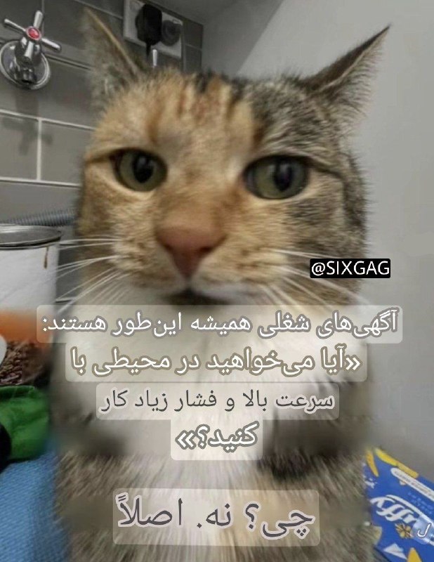 6GAG: #meme@SIXGAG