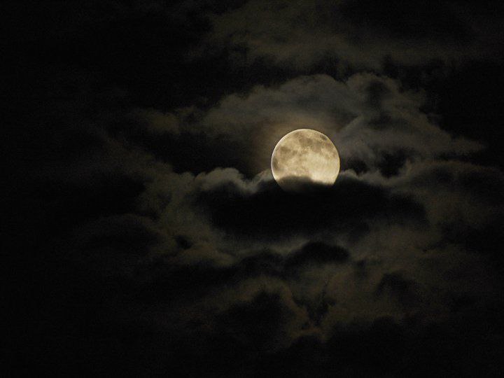 ✍ گلســـتان نوکنـــــده: شب را دوست دارم به عشق تو سحر کنمکه سلام کنم، که سلامم کنی،که من جان بدهم و تو جان بگیری!شب بخیر 🌙✨♥️ ♥️