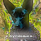 🐾Буська🐾dog⚡