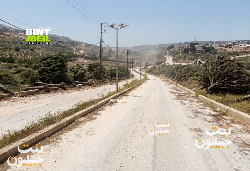הכיבוש הברברי הרס את כל העצים הנטועים בצידי כבישי בינת ג'בייל.