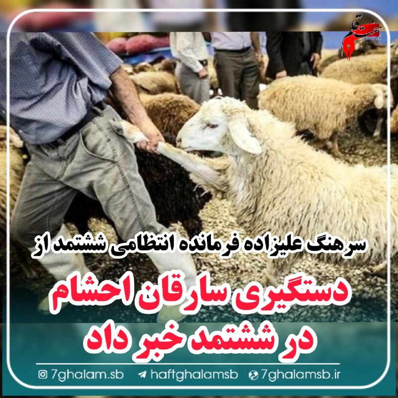 پایگاه خبری هفت قلم سبزواربزرگ: ⭕ کشف ۲ کیلو و ۴۰۰ گرم تریاک در ششتمد 🔹فرمانده انتظامی شهرستان ششتمد از کشف ۲ کیلو و ۴۰۰ گرم مواد مخدر تریاک که توسط ۱ م