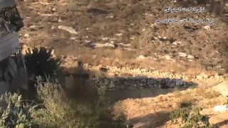 A settler is taunting the residents and unleashes his cattle around the houses of the "Hamarosh" area, east of the town of Seir, north of Hebron.