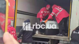בעלי חיים שחולצו מאולשקי היו הראשונים שהגיעו לאוקראינה הם הובאו במשאית והועברו מיד לרכב אחר בגבול.