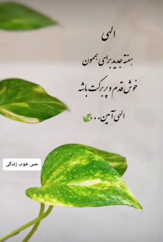 حس خوب زندگی 😊: الهیهفته جدید برای همونخوش قدم و پر برکت باشهالهی آمین ..#مهر_شما ❤️┄┅┄┅✶❤✶┄┅┄ Join👇🏻 @good_sense_of_life#کانال_حس_خوب_ز