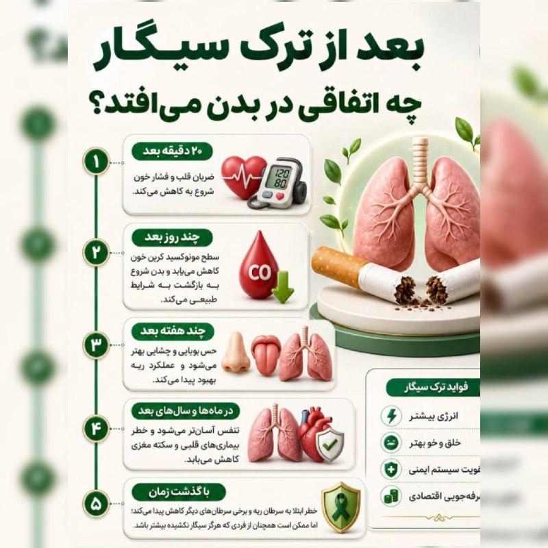 🗣 خبرهای داغ مجازی ✨️: بعد از ترک سیگار چه اتفاقی در بدن می‌افتد؟📷