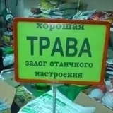 НАБОР В АДМИНЫ || 🎀🚮 || HATE NORMIES CONFESSION
