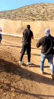 מתנחלים תוקפים חקלאים בזמן שהם עובדים על אדמותיהם בעיירה טייאסיר, מזרחית לטובאס