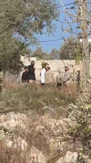 مستوطنون يهاجمون منازل في ياسوف بسلفيت