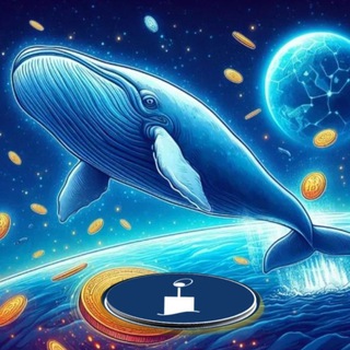 FiNDCRYPTOWHALES