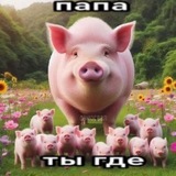 Архив работ вивид