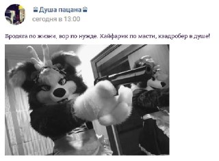 В Москве ограбили фурри. Парни, угрожая ножом, отжали фурри-костюмы и маски.Как сообщили в сообщили в пресс-службе ГУ МВД России по Москве, в парке в пойме реки Битцы на юго-западе Москвы пацаны в возрасте 18 и 19 лет стали нецензурно оскорблять фурри, а п