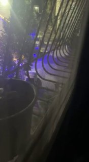 חלק מכוחות הכיבוש מסתערים על מחנה ג'לזון, מצפון לרמאללה