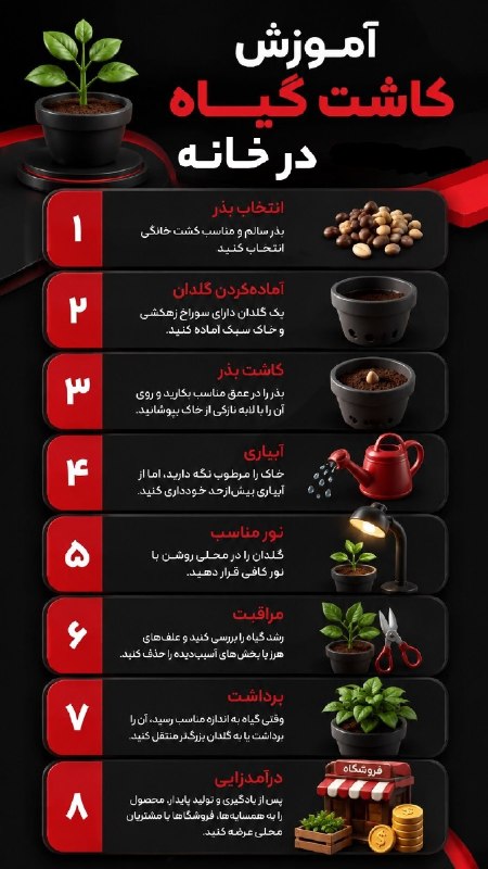 هواشناسی ایران: آموزش کاشت گیاه در خانه🪴🪴@iran_weather