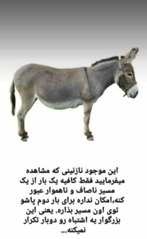 💞پندانه💞: درود، *برداشت و تفسیر آزاد...*