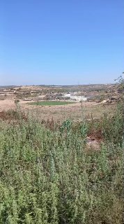 רשת חדשות ירושלים
