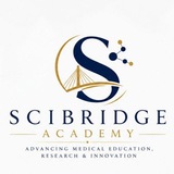 SciBridge Academy موسسه علمی پژوهشی