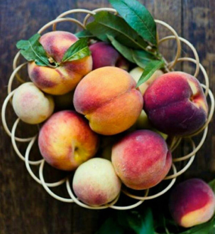 مجله تن سالم وطب سنتی: #پیام_سلامتی🍑 هلو سرسخت ترین دشمن سرطان است با مصرف آن از سرطان های سینه ، پروستات ، رحم و کبد جلوگیری کنید