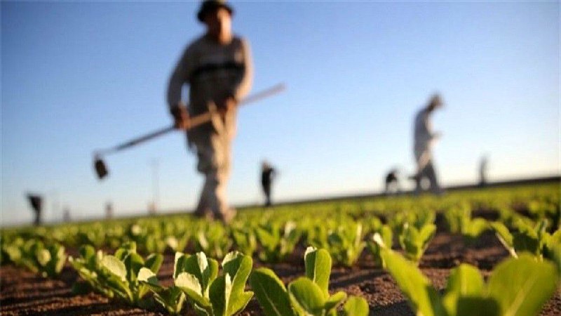 اخبار خراسان شمالی - خبرگزاری فارس: اجرای طرح «پایداری تولید» در دیم‌زارهای خراسان‌‌شمالی🔹 معاون بهبود تولیدات گیاهی سازمان جهاد کشاورزی خراسان‌ شمالی: طرح 