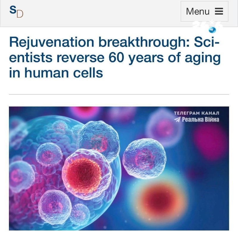 🇮🇱 The researchers rejuvenated human cells by 60 years. The researchers reprogrammed the cells of an 80-year-old man into stem cells, and then brought them to a state roughly equivalent to the cells of a 20-year-old man. Now the scientists are looking at how this technology can be used to rejuvenate the body.