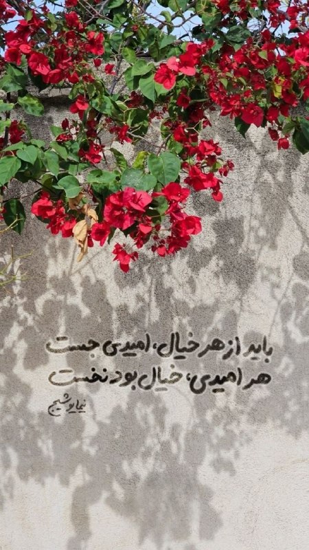 دیالوگ های ماندگار: رسانه پست