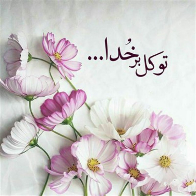 ذهن شاد و زندگی شاد: کارگردان دنیا خــــ♡ــــداست !مهم نیست نقش ما ثروتمند است یا تنگدستسالم است یا بیمار !مهم این است که محبوبترین کارگردان 