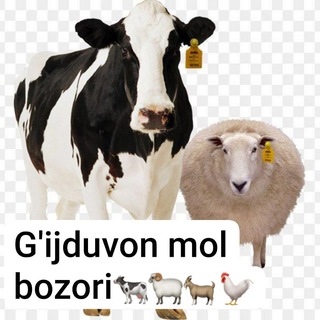 Гиждувон Мол Бозори🐄🐂🐏🐎
