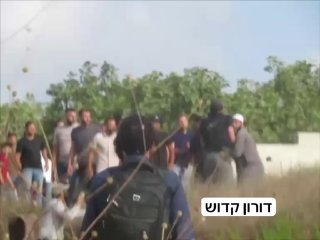 זה מה שקרה. מתנחלים תקפו את אדמות האנשים והאזרחים ביישוב טל, והתגובה הייתה כמו שצריך.