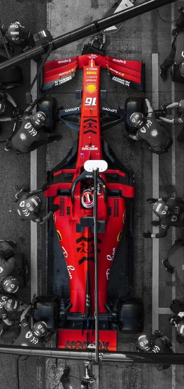 F1