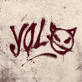YOLO