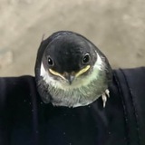 Соевая Мойка