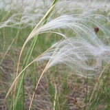 Image from a post by Белгородчина