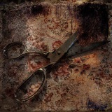 ✂️ ꐚ ሏᥲⲣья ᙖ᧘ᥲд᧐ʙᥲ 𝇄𝇅༩