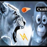 ЩитПост ПХС
