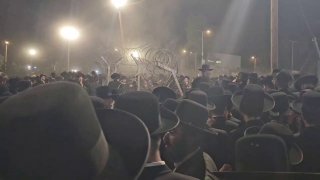 אלי הירשמן