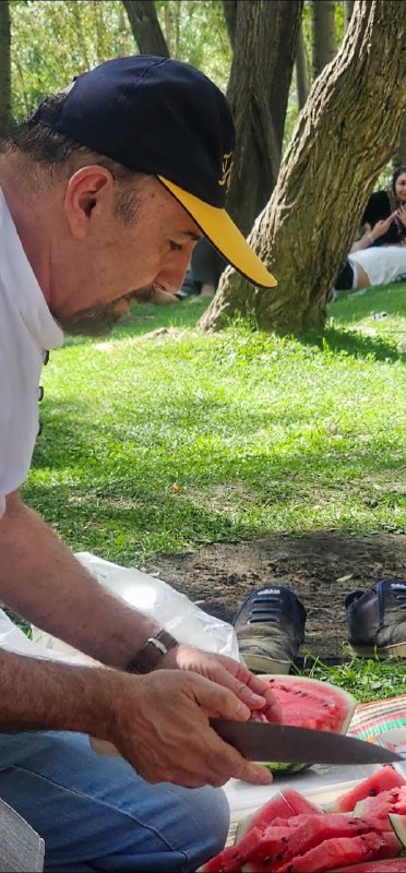آژانس مسافرتی آوای آریا: رسانه پست