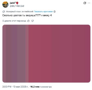 Проверяем зрение