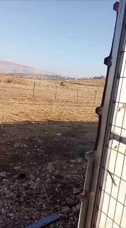 רשת חדשות ירושלים