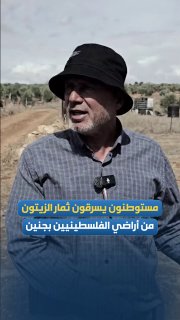 בצער ובדיכוי... החקלאי עיסא יאסין מדבר על כך שהמתנחלים גונבים זיתים מאדמתו בין הכפרים אל-מוג'יר ודיר אבו דאיף, מזרחית לג'נין.