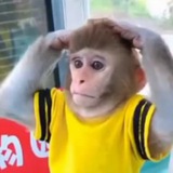 liveYami путь в бездну