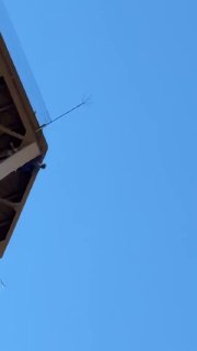 מעצר אדם טיפס על מגדל אייפל בפריז והרים את הדגל האמריקאי ביום שבו חגגה ארצות הברית את יום העצמאות. כוחות הב…