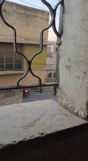 כוחות הכיבוש יורים פצצות גז בעימותים בבית פוריק