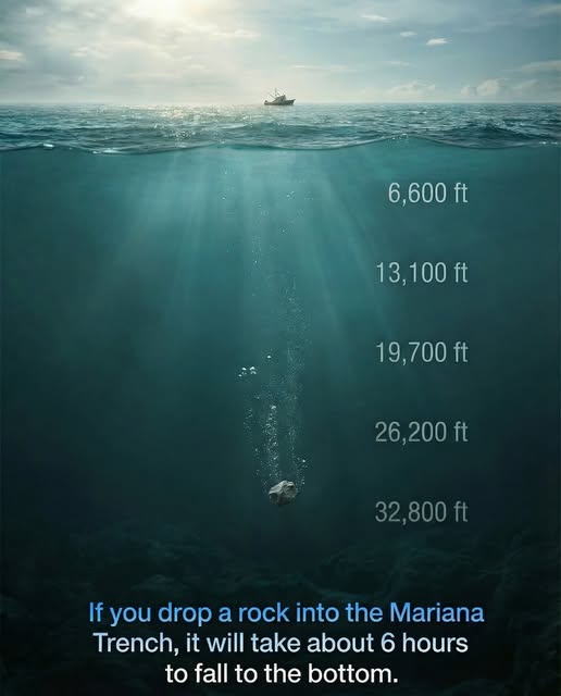 For an average fist-sized rock, its terminal velocity in water is roughly 1.6 feet per second, translating to nearly six hours to reach the Mariana trench's 36,000-foot floor, if you threw it in it.Did you know? 🎓