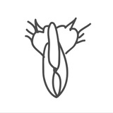 bab.zine